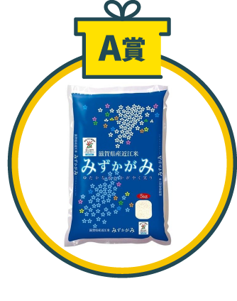 A賞　近江米「みずかがみ」2kg